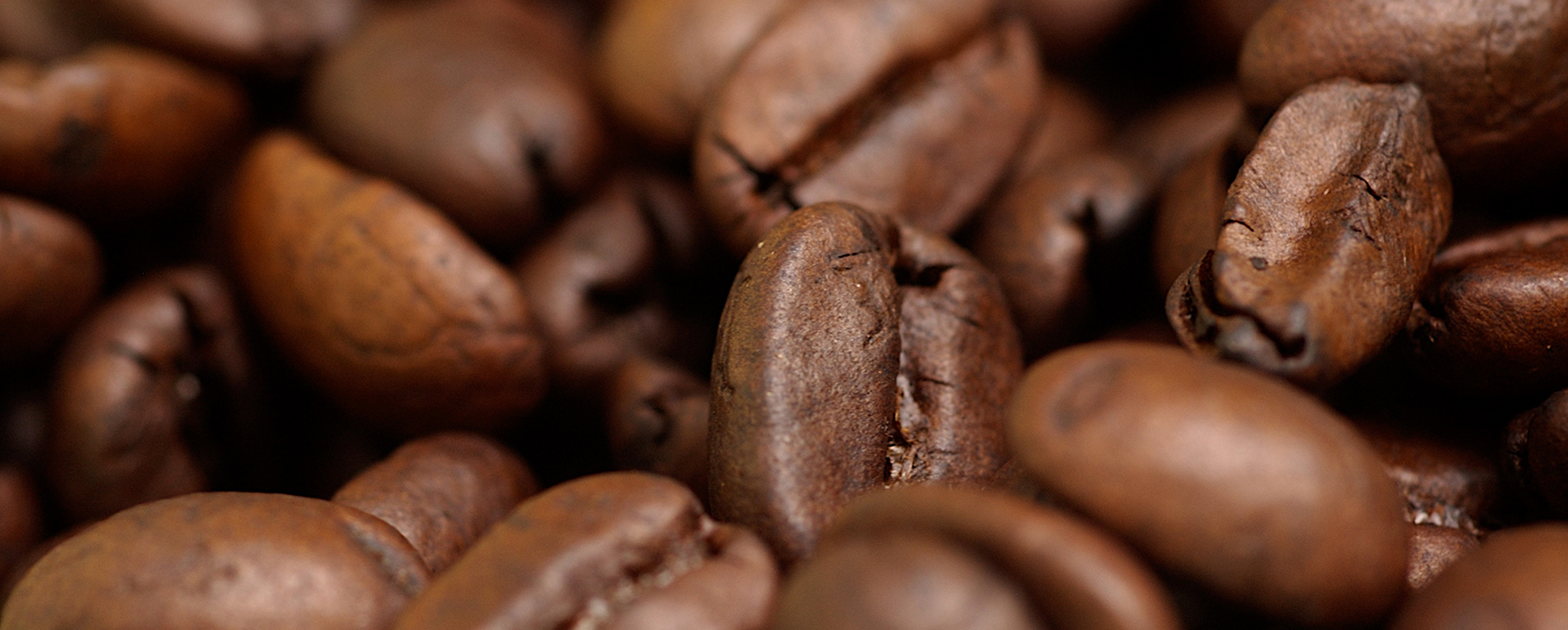 Roastilino Commercial Cappuccino Coffee & Espresso Machine